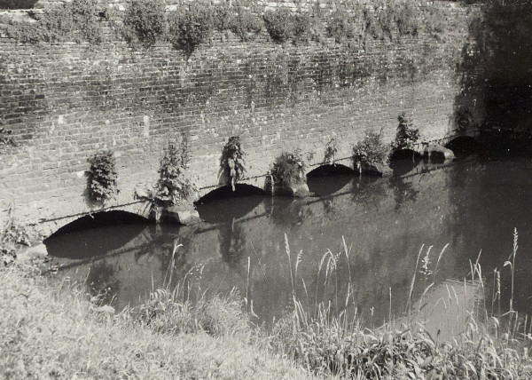 BW200-1-48-1-1 image BW200-1-48-1-1