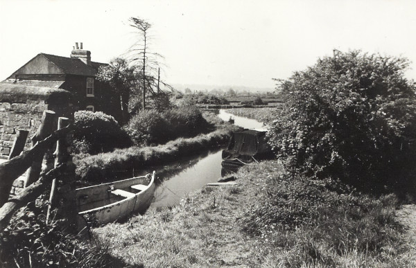 BW200-1-29-1-1 image BW200-1-29-1-1