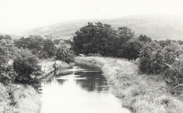 BW200-1-100-11-1 image BW200-1-100-11-1