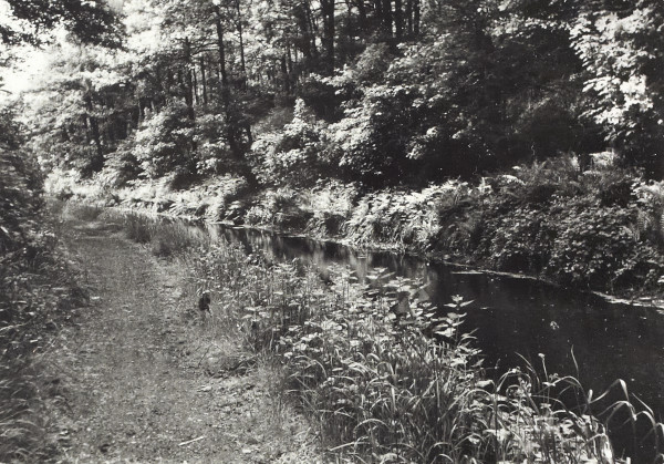 BW200-1-27-11-1 image BW200-1-27-11-1