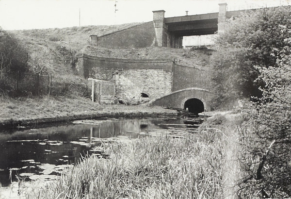 BW200-1-10-21-1 image BW200-1-10-21-1