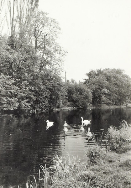 BW200-1-47-51-1 image BW200-1-47-51-1