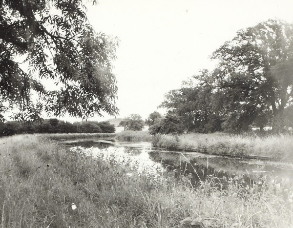 BW200-1-100-2-1 image BW200-1-100-2-1