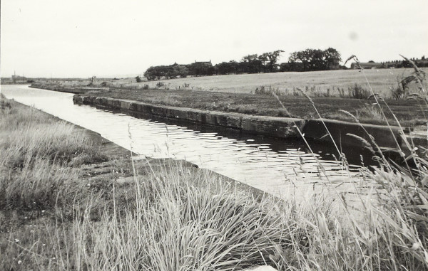 BW200-1-52-2-1 image BW200-1-52-2-1