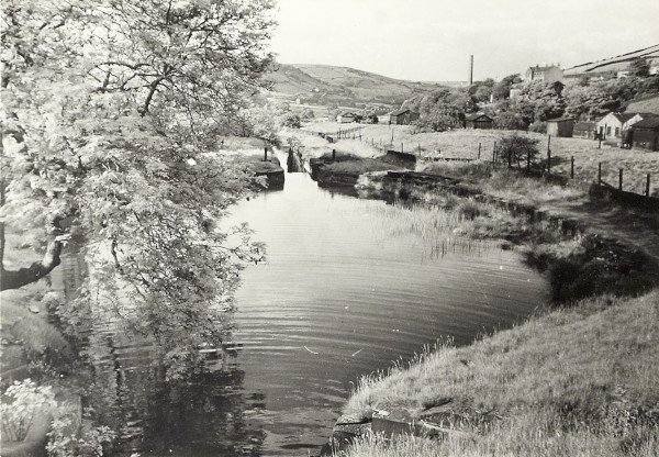 BW200-1-44-2-1 image BW200-1-44-2-1