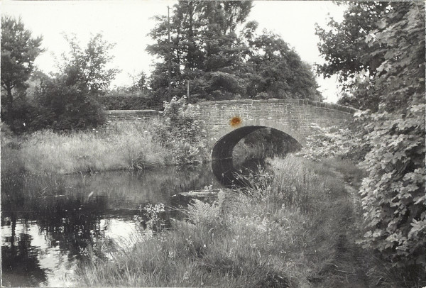 BW200-1-94-2-1 image BW200-1-94-2-1