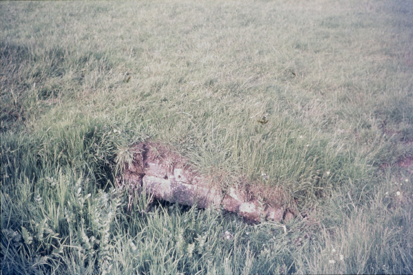 BW197-2-15-12-1 image BW197-2-15-12-1