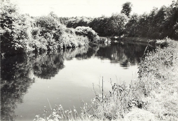 BW200-1-89-32-1 image BW200-1-89-32-1