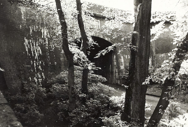 BW200-1-99-42-1 image BW200-1-99-42-1