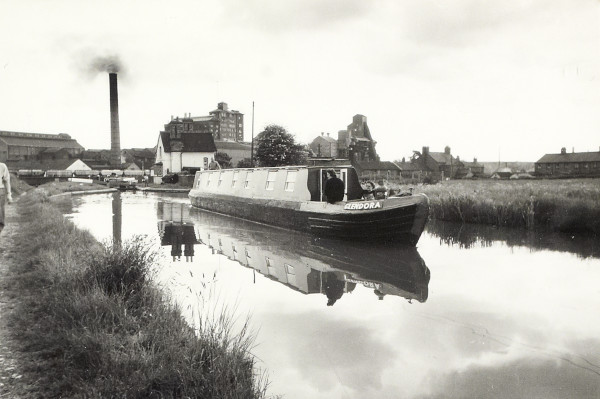 BW200-1-99-82-1 image BW200-1-99-82-1