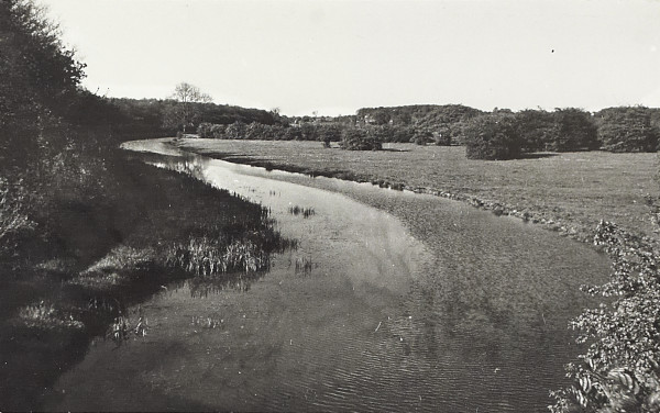 BW200-1-2-3-1 image BW200-1-2-3-1