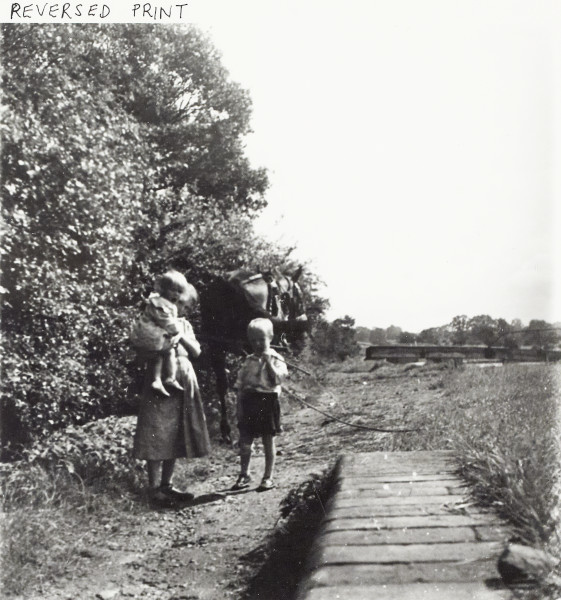 BW192-3-1-2-3-1 image BW192-3-1-2-3-1