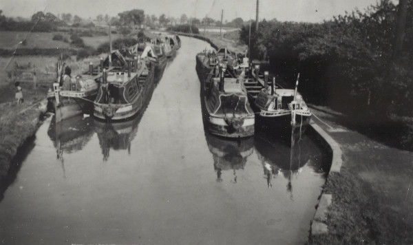 BW192-3-1-3-3-1 image BW192-3-1-3-3-1