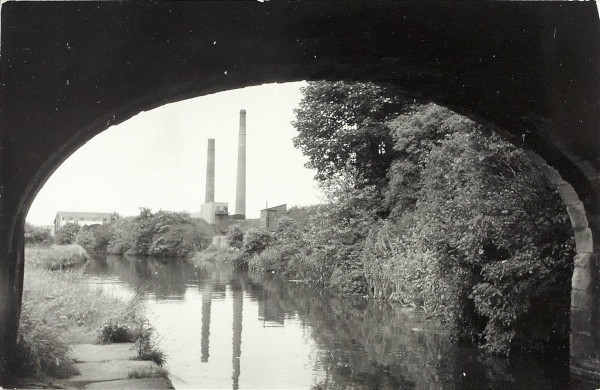 BW200-1-43-3-1 image BW200-1-43-3-1