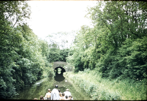 BW197-2-34-3-1 image BW197-2-34-3-1