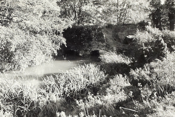 BW200-1-106-3-1 image BW200-1-106-3-1