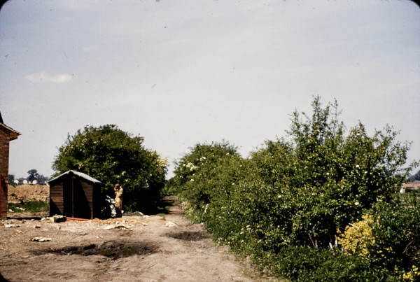 BW197-2-18-3-1 image BW197-2-18-3-1