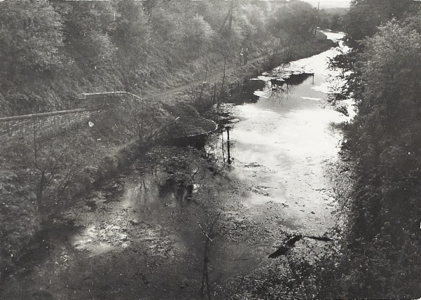 BW200-1-10-23-1 image BW200-1-10-23-1