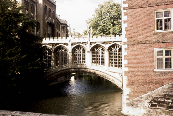 BW197-2-30-23-1 image BW197-2-30-23-1