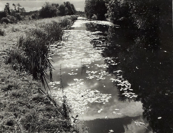 BW200-1-47-23-1 image BW200-1-47-23-1