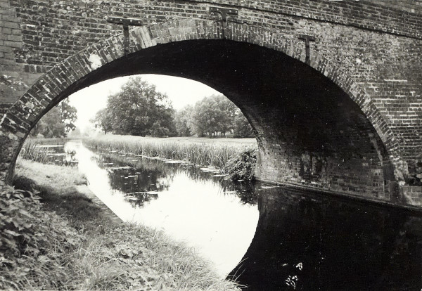 BW200-1-47-33-1 image BW200-1-47-33-1