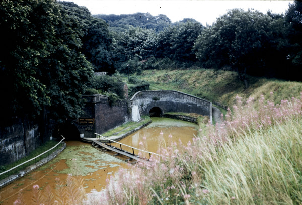 BW197-2-11-43-1 image BW197-2-11-43-1