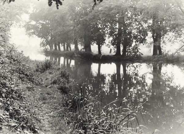 BW200-1-55-43-1 image BW200-1-55-43-1
