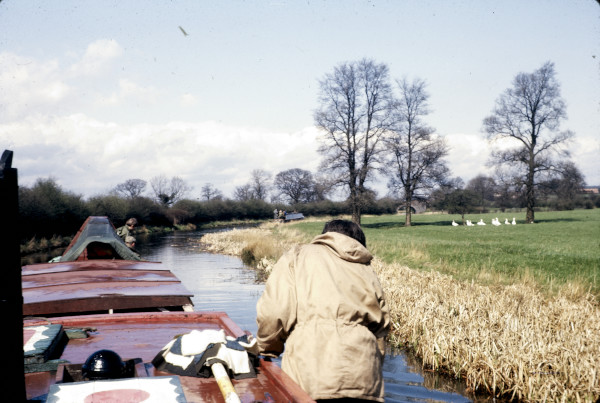 BW197-2-12-4-1 image BW197-2-12-4-1