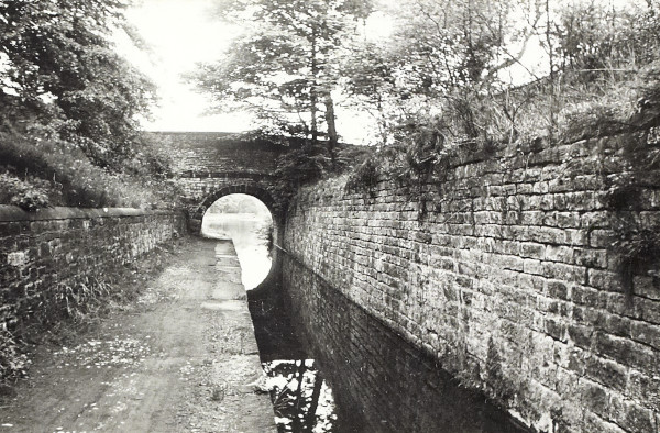 BW200-1-73-4-1 image BW200-1-73-4-1