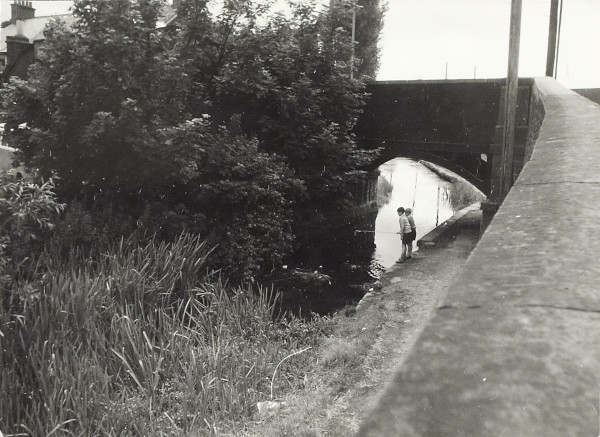 BW200-1-64-4-1 image BW200-1-64-4-1