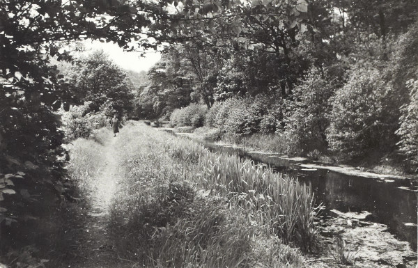 BW200-1-27-4-1 image BW200-1-27-4-1