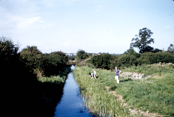 BW197-2-34-14-1 image BW197-2-34-14-1