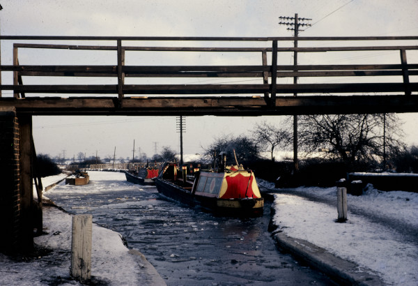 BW197-2-35-44-1 image BW197-2-35-44-1