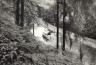 BW200-1-55-44-1 image BW200-1-55-44-1
