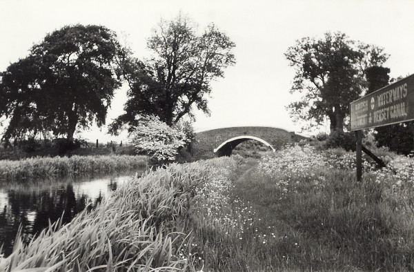 BW200-1-99-74-1 image BW200-1-99-74-1