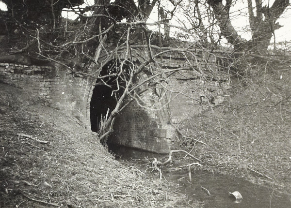 BW200-1-51-5-1 image BW200-1-51-5-1