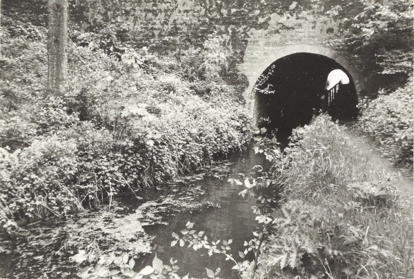 BW200-1-27-5-1 image BW200-1-27-5-1