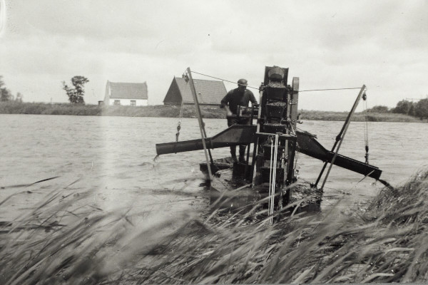 BW192-3-1-29-5-1 image BW192-3-1-29-5-1