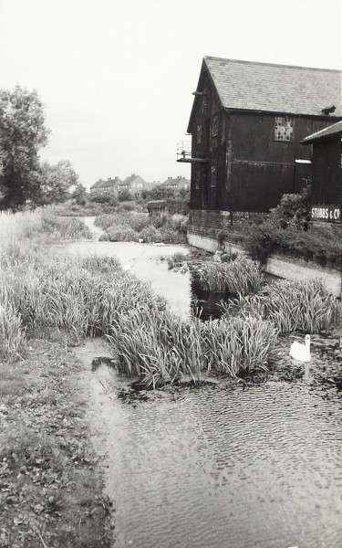 BW200-1-81-15-1 image BW200-1-81-15-1