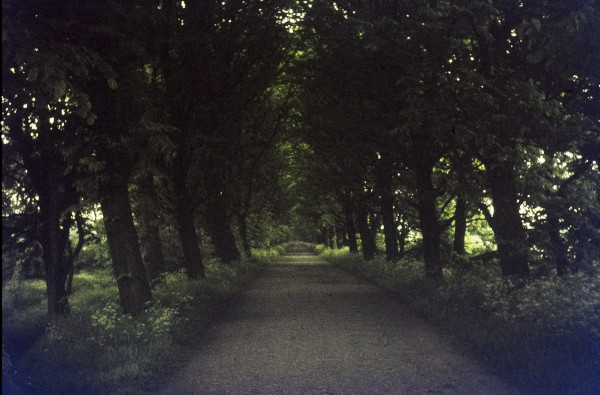 BW197-2-15-15-1 image BW197-2-15-15-1