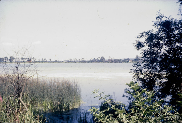 BW197-2-16-15-1 image BW197-2-16-15-1