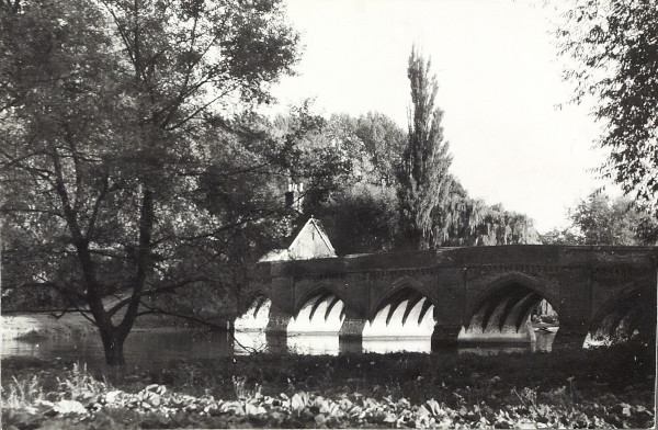 BW200-1-96-15-1 image BW200-1-96-15-1