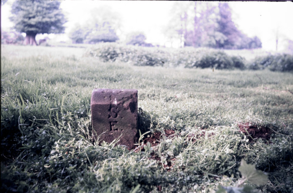 BW197-2-17-15-1 image BW197-2-17-15-1