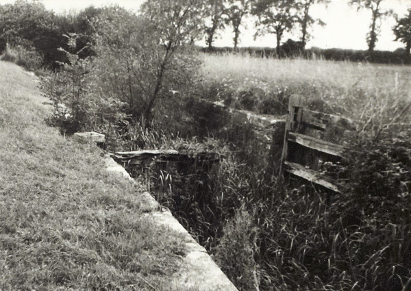 BW200-1-97-15-1 image BW200-1-97-15-1