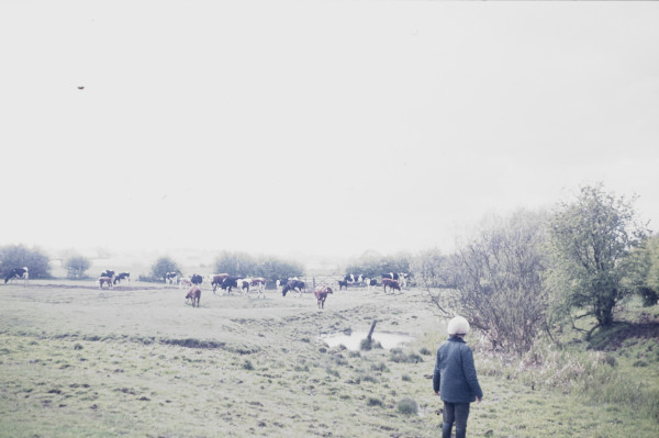 BW197-2-28-25-1 image BW197-2-28-25-1