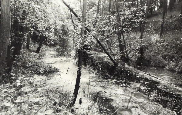 BW200-1-51-6-1 image BW200-1-51-6-1