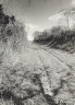 image BW200-1-16-6-1