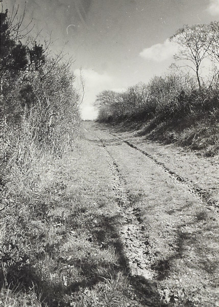 BW200-1-16-6-1 image BW200-1-16-6-1