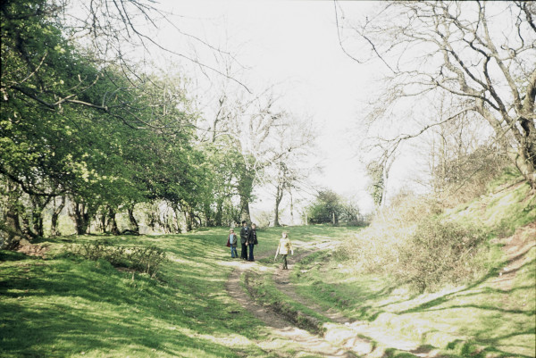 BW197-2-27-6-1 image BW197-2-27-6-1