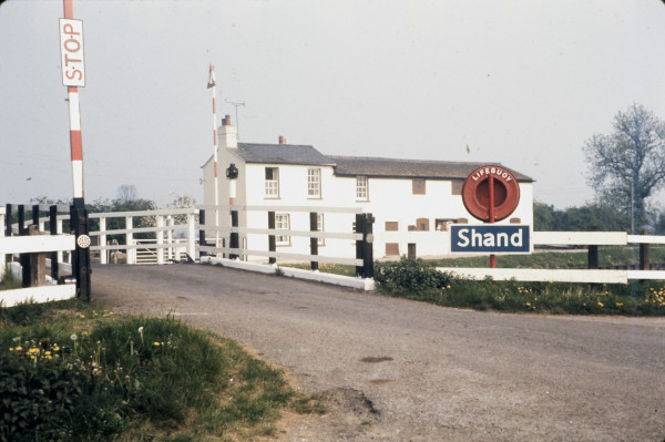 BW197-2-17-16-1 image BW197-2-17-16-1